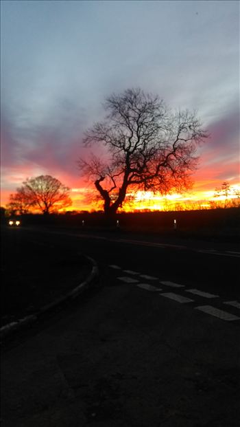 I captured this stunning sunrise in a neighbouring village one December morning